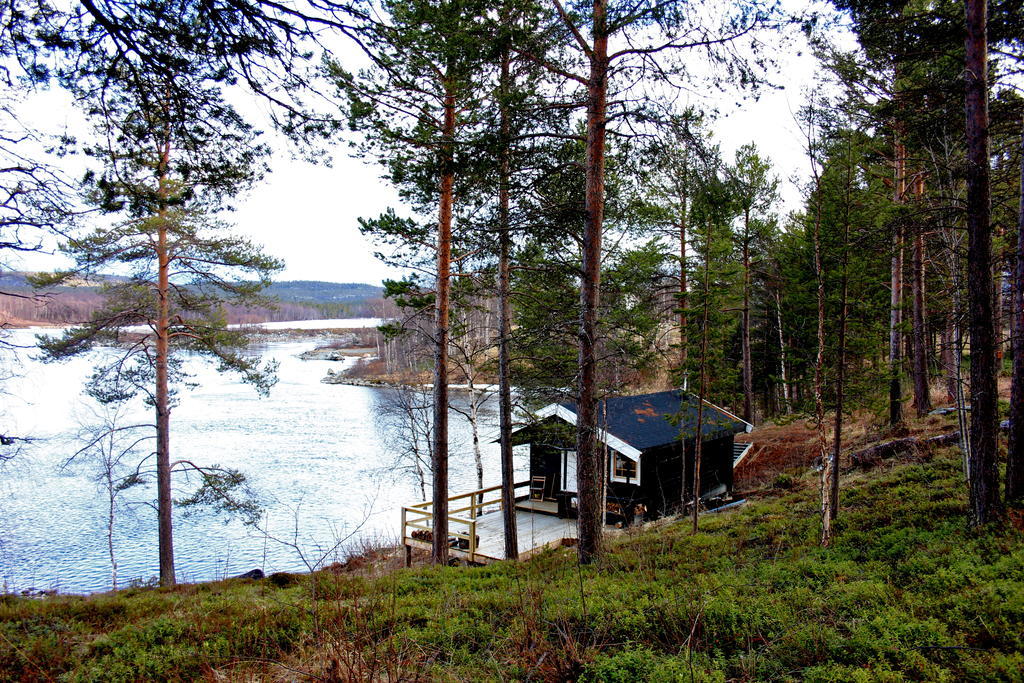 Bed and Breakfast Birk Bed & Birds Svanvik Zewnętrze zdjęcie