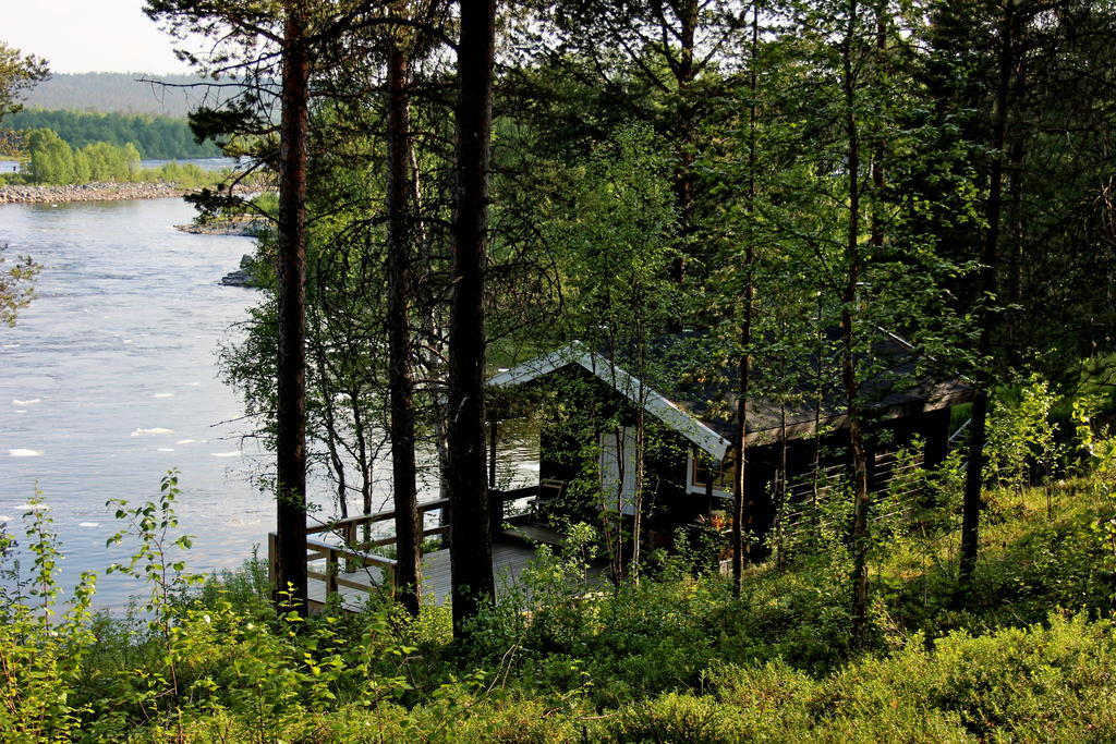 Bed and Breakfast Birk Bed & Birds Svanvik Zewnętrze zdjęcie
